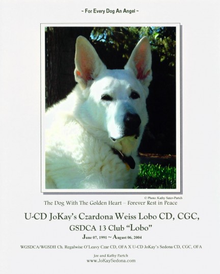 Lobo's Memorial Page